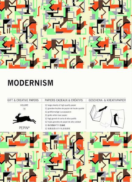 Modernism - Pepin Van Roojen (ISBN 9789460090820)
