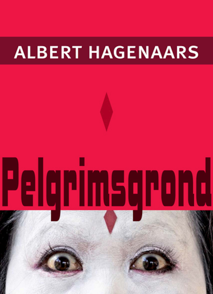Pelgrimsgrond - Albert Hagenaars (ISBN 9789493214323)
