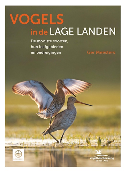 Vogels in de lage landen - Ger Meesters (ISBN 9789021575063)