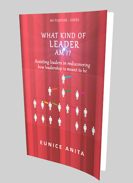 What kind of leader am I? - Eunice Anita (ISBN 9789492266187)