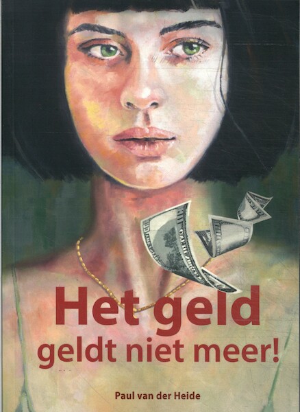 Het geld geldt niet meer! - Paul van der Heide (ISBN 9789090371788)