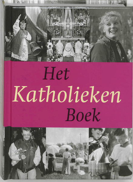 Het Katholieken Boek - H. Pijfers (ISBN 9789040082061)