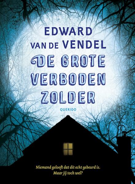 De grote verboden zolder - Edward van de Vendel (ISBN 9789045120652)