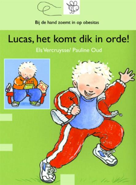 Lucas, het komt dik in orde - Els Vercruysse (ISBN 9789044815092)