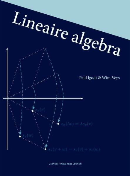 Lineaire algebra - Paul Igodt, Wim Veys (ISBN 9789058678799)