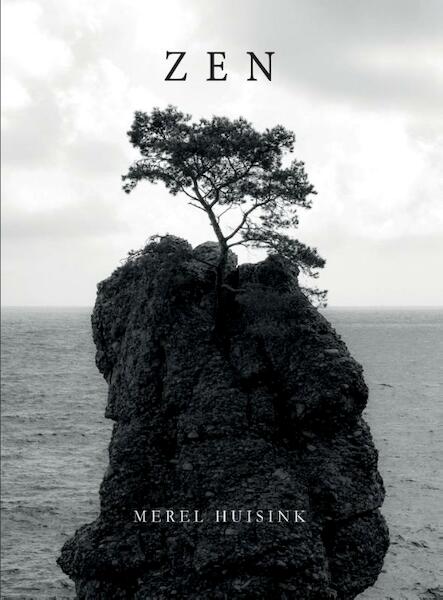 Zen - Huisink (ISBN 9789082629507)