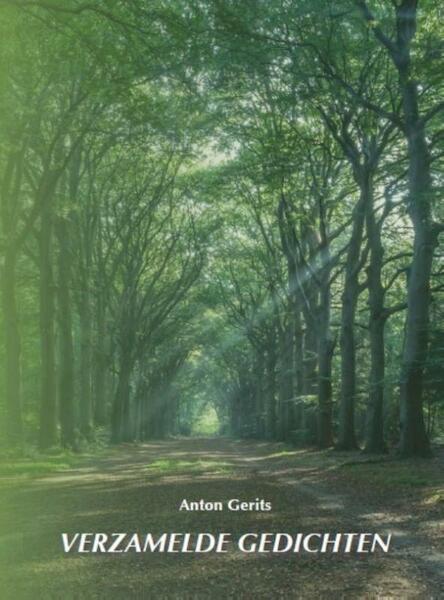 Verzamelde gedichten - Anton Gerits (ISBN 9789462403314)