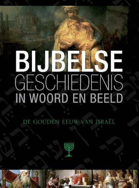 Bijbelse geschiedenis in woord en beeld 5 De gouden eeuw van Israel - Marjanne Lam, Rien van den Berg (ISBN 9789461620675)