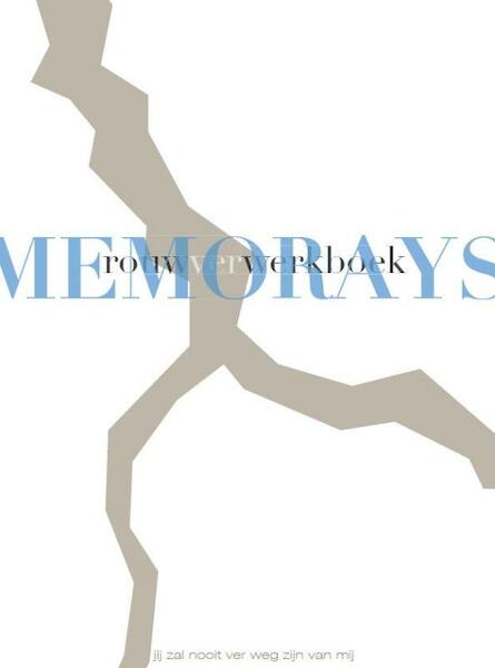 Memorays journal - Herwig Raymaekers (ISBN 9789082405910)