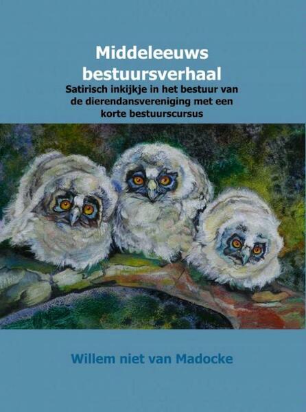 Middeleeuws bestuursverhaal - Willem niet van Madocke (ISBN 9789402139815)