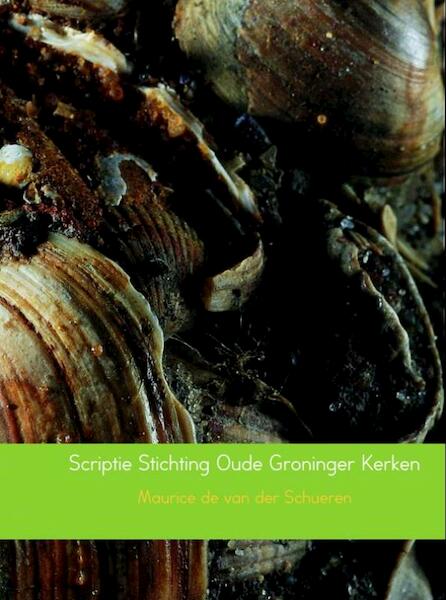 Mogelijkheden om vrijwilligers te motiveren om actief te blijven binnen de Stichting Oude Groninger Kerken (SOGK) - Maurice de van der Schueren (ISBN 9789402149241)