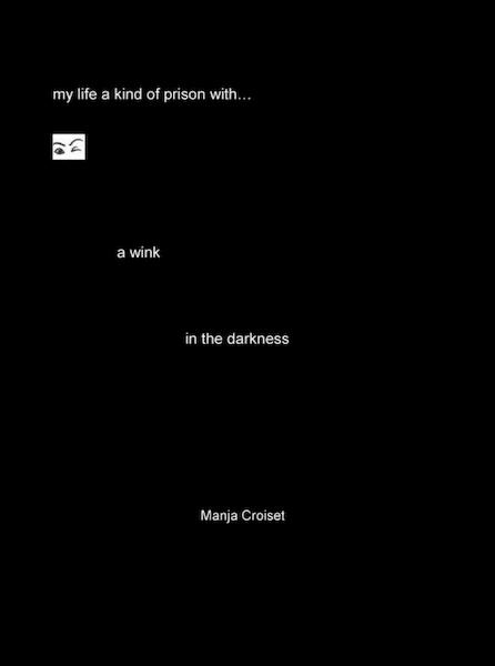 A wink in the darkness - Manja Croiset (ISBN 9789402154382)