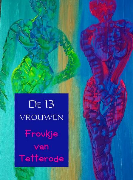 De 13 vrouwen - Froukje Van Tetterode (ISBN 9789463981002)