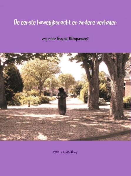 De eerste huwelijksnacht en andere verhalen - Peter van den Burg (ISBN 9789402132502)