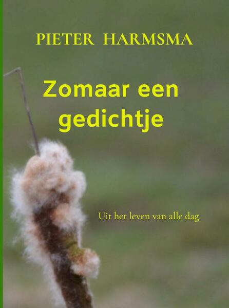 Zomaar een gedichtje - Pieter Harmsma (ISBN 9789403679563)
