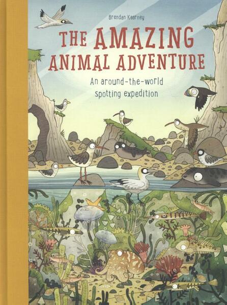 Amazing Animal Adventure: An Around-the-World Spotting Exped - Anna Claybourn (ISBN 9781780678443)