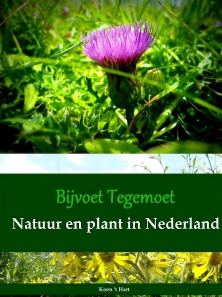 Bijvoet Tegemoet Natuur en plant in Nederland - Koen 't Hart (ISBN 9789402146776)