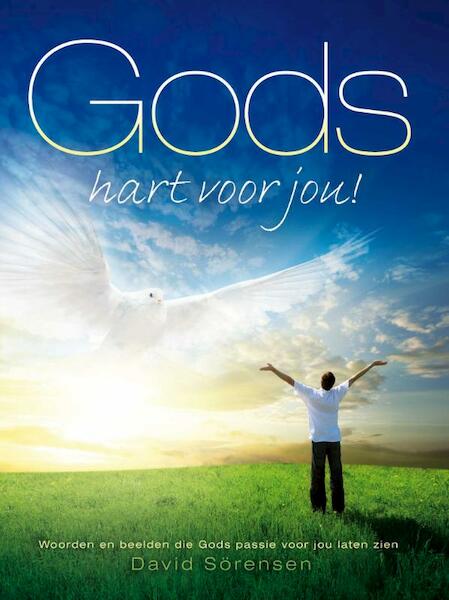 Gods hart voor jou - David Sorensen (ISBN 9789060679548)