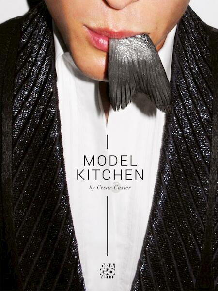 Model Kitchen (luxe) - Cesar Casier (ISBN 9789491513084)