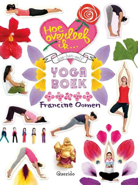 Hoe overleef ik...doe-het-zelf yogaboek - Francine Oomen (ISBN 9789045118796)