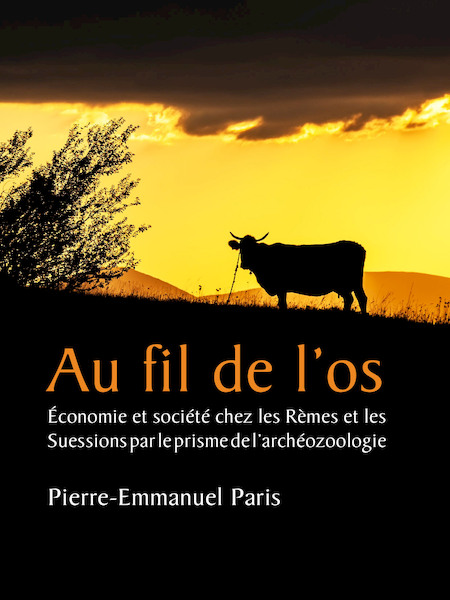 Au fil de l’os - Pierre-Emmanuel Paris (ISBN 9789088903618)