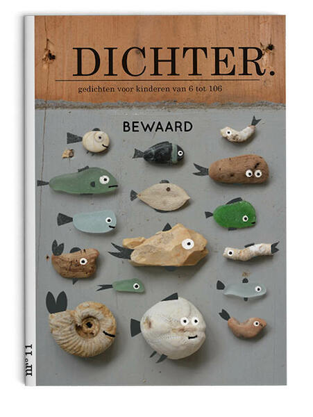 Plint DICHTER 11 Bewaard set van 10 - De Dichters van DICHTER 11 (ISBN 9789059308442)