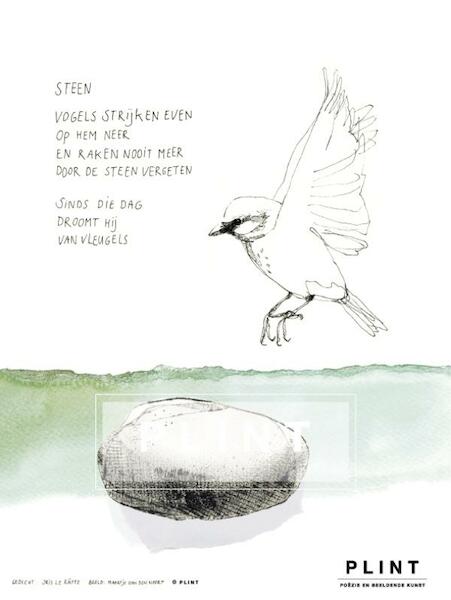 Plint poëzieposter 'Steen' Iris Le Rütte en Maartje van den Noort - Iris Le Rütte (ISBN 9789059306929)