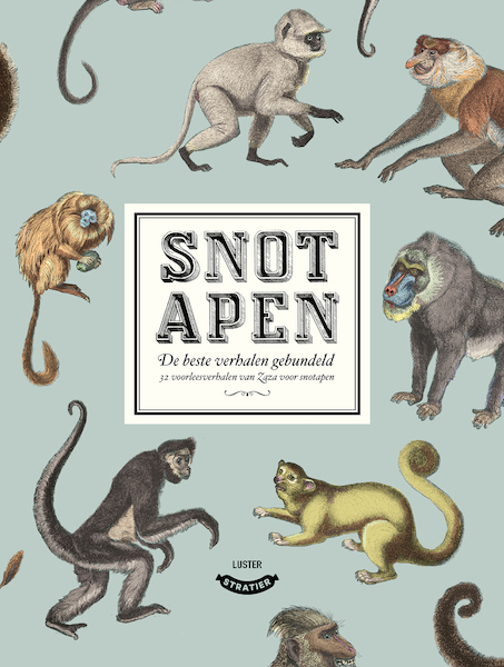 Snotapen (bundeling Snotapen1&2) - Klaas Storme (ISBN 9789492533517)