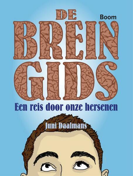 De breingids - Juni Daalmans (ISBN 9789461052414)