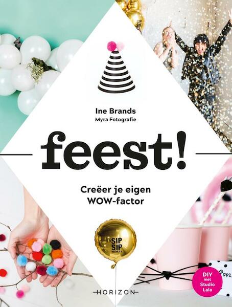 Feest! - Ine Brands (ISBN 9789492626028)