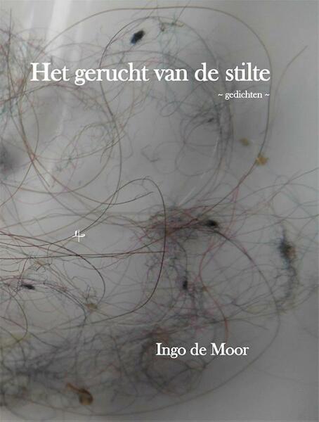 Het gerucht van de stilte - Ingo de Moor (ISBN 9789491034992)