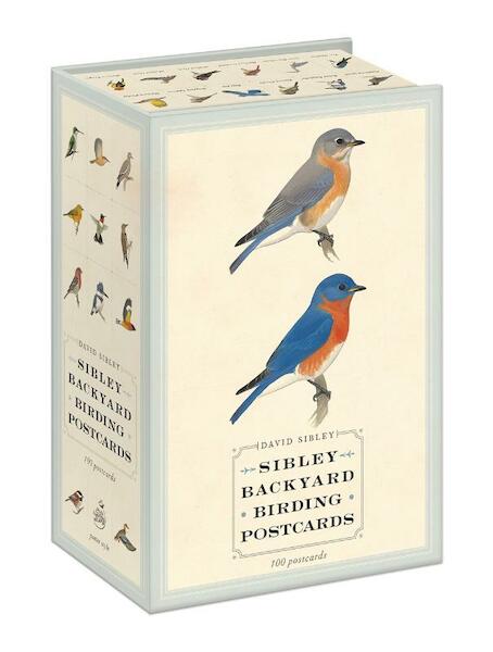 Sibley Backyard Birding Postcards - David Sibley (ISBN 9780770433963)