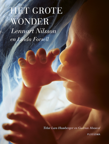 Het grote wonder - Lars Hamberger, Gudrun Abascal (ISBN 9789021678689)