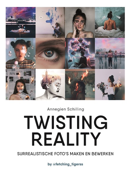 Twisting reality - Annegien Schilling (ISBN 9789021570334)
