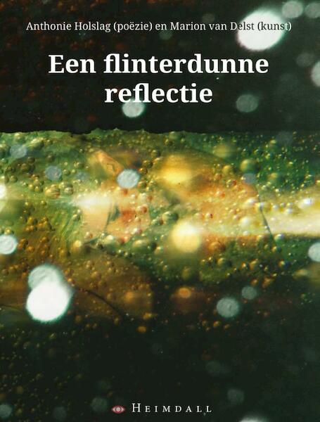 Flinterdunne reflectie - Anthonie Holslag (ISBN 9789491883798)