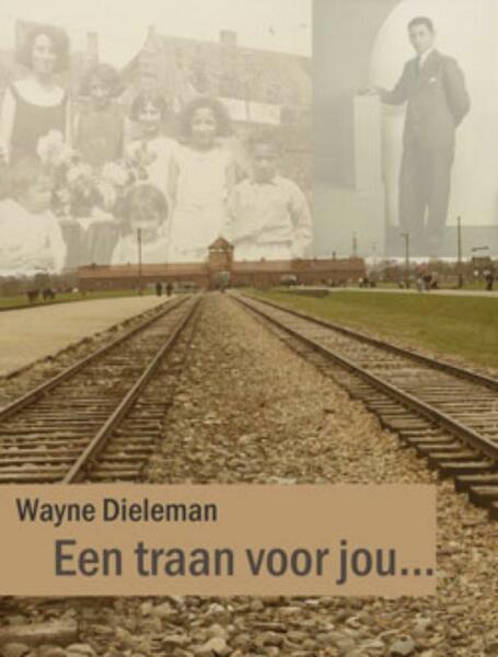 Mijn verloren familie - Wayne Dieleman (ISBN 9789040077388)