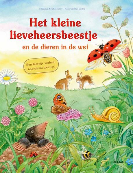 Het kleine lieveheersbeestje en de dieren in de wei - Friederun Reichenstetter (ISBN 9789044748499)