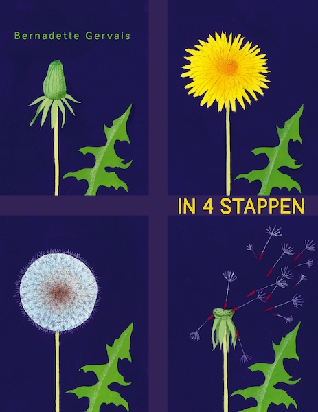 In 4 stappen - Bernadette Gervais (ISBN 9789002271205)