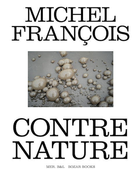 Michel François. Contre nature - François Piron, Eugène Savitzkaya, Ory Dessau, Michel François, Sylvain Courbois (ISBN 9789072201799)