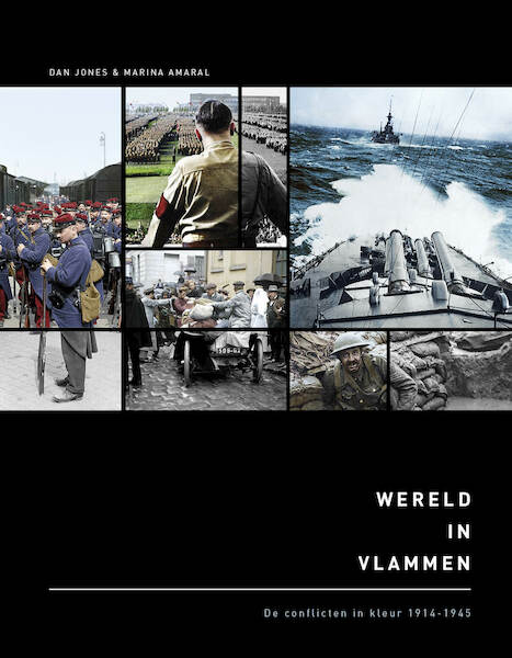 Wereld in vlammen - Dan Jones, Marina Amaral (ISBN 9789401917087)