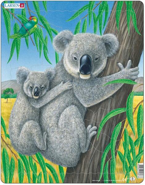 Larsen puzzel - Koala - D7 - (ISBN 7023850208078)