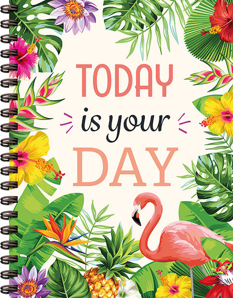 Today is your day - ZNU (ISBN 9789044759402)