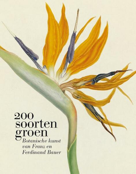 Botanische kunst van Franz en Ferdinand Bauer - 200 soorten groen - Terry van Druten, Esther van Gelder (ISBN 9789068687729)