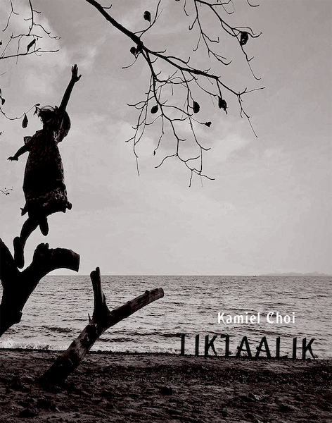 Tiktaalik - Kamiel Choi (ISBN 9789083011974)