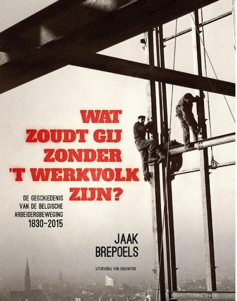 Wat zoudt gij zonder 't werkvolk zijn - Jaak Brepoels (ISBN 9789461314277)