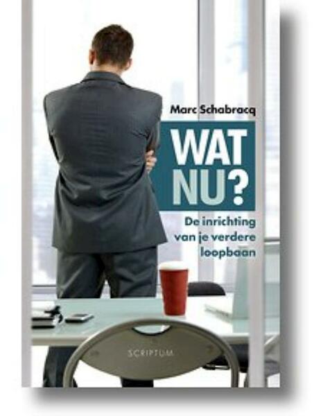 Wat nu? - Marc Schabracq (ISBN 9789055948758)
