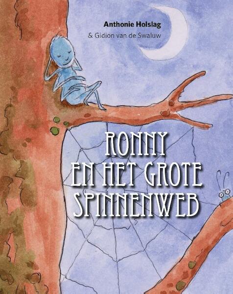 Ronny en het grote spinnenweb - Anthonie Holslag (ISBN 9789081812184)