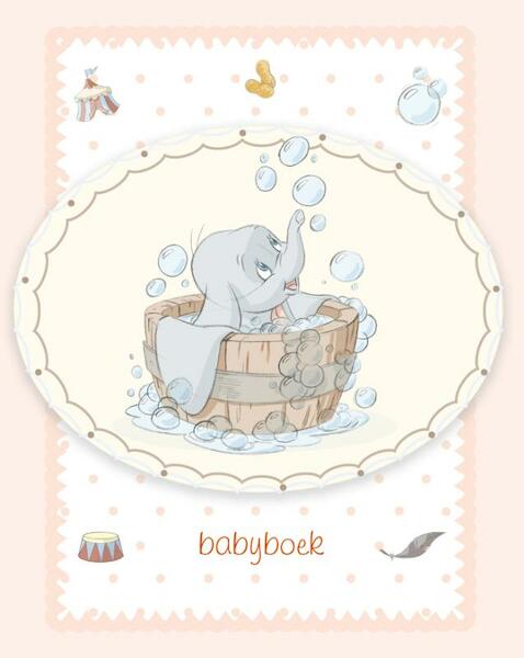 Disney Babies Babyboek - (ISBN 9789054242659)