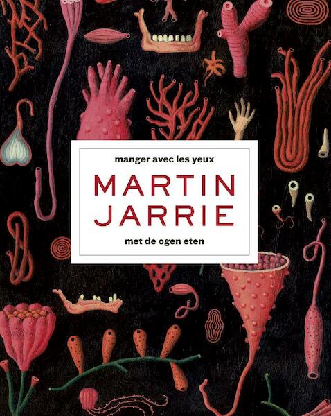 Martin Jarrie - Hans Boer (ISBN 9789056156213)