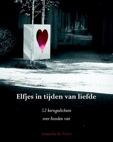 Elfjes in tijden van liefde - Amanda de Vries (ISBN 9789089549037)